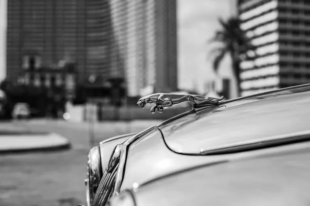 20ベッツ カジノ Android/iOS アプリ